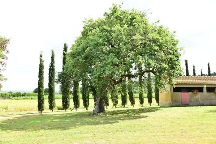 Vakantieboerderij Agriturismo San Luigi Hotel Scarlino